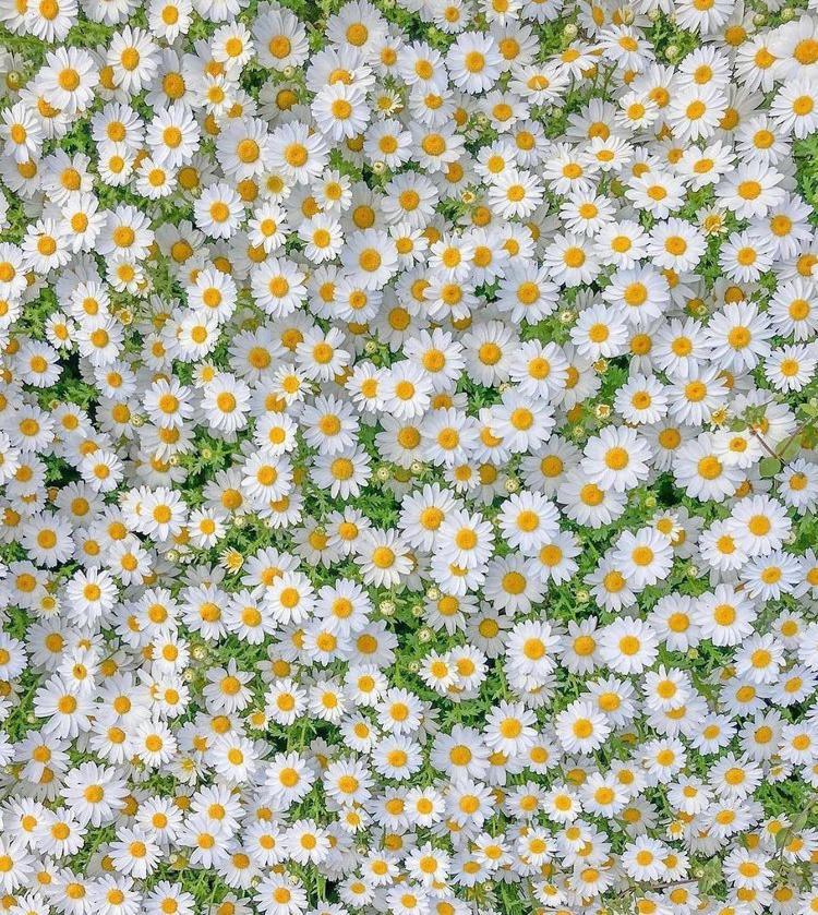Ostello Palatina