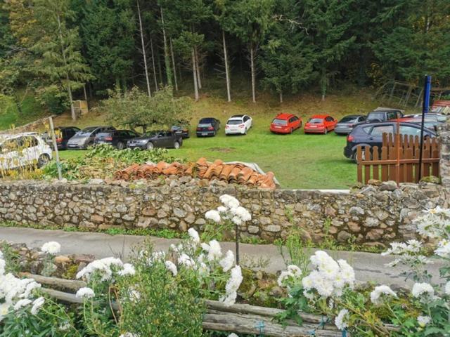 Hostal Palatina *